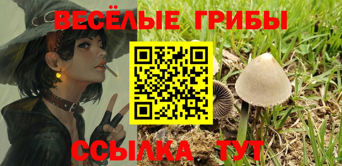 Галлюциногенные грибы прущие грибы Магнитогорск