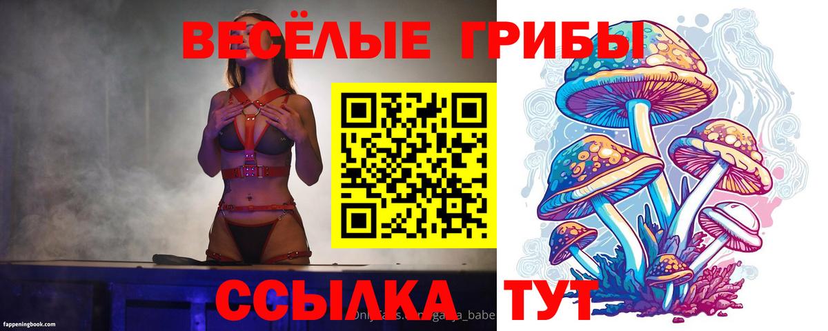 Магнитогорск  Галлюциногенные грибы Psilocybe  Псилоцибиновые грибы Psilocybine cubensis  Вход с VPN 